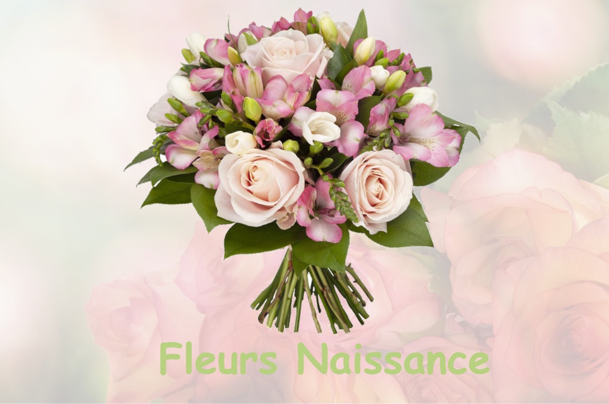 fleurs naissance LONGEAUX