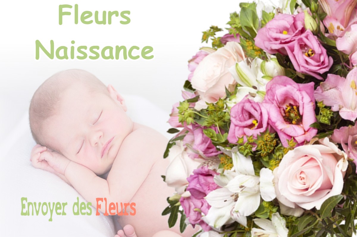 lIVRAISON FLEURS NAISSANCE à LONGEAUX